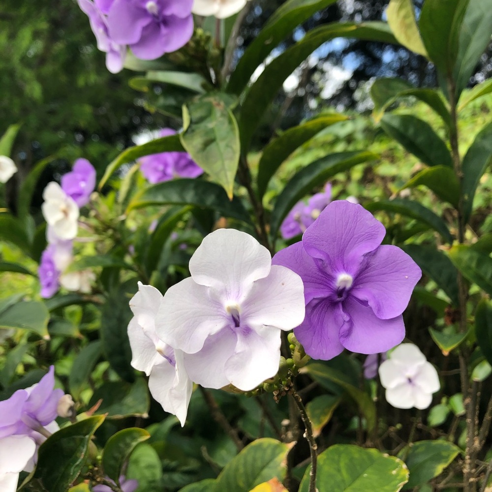 Meet your Posher, Vickie